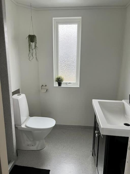 Apartment In The Center Of Torshavn, Free Parking. Luaran gambar